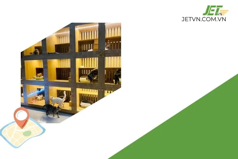 Top 3 Địa Chỉ Khách sạn thú cưng Quảng Bình