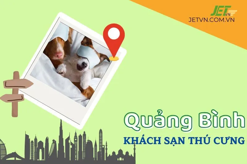 Khách sạn thú cưng Quảng Bình: Top 3 dịch vụ lưu trú tốt nhất 2024