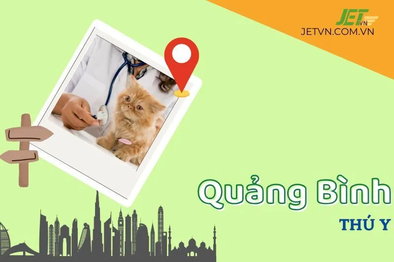 Khám Phá 5 Phòng Khám Thú Y Quảng Bình Uy Tín Nhất, Dịch Vụ Tốt